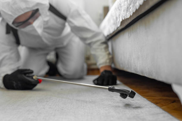 Professional Termite Control technician working in Klickitat County County, WA